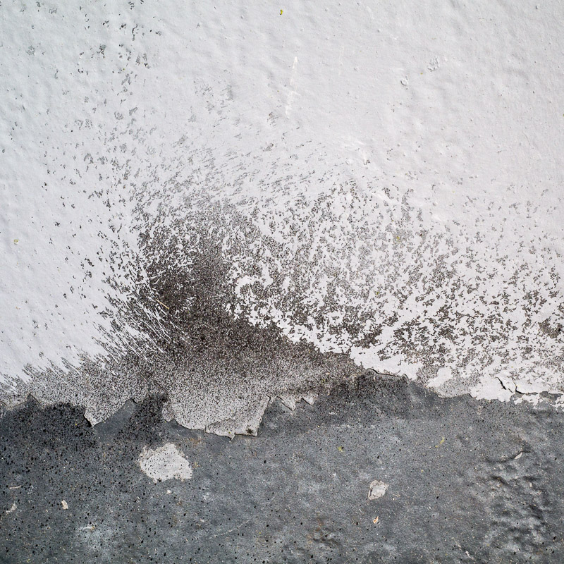 estrach n°1163